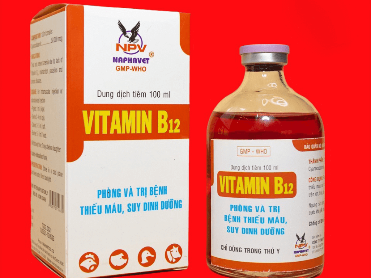 Vitamin b12